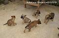 DSC00251