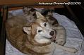 DSC00256